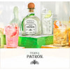 Patrón Tequila